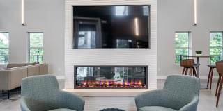 Aster at the Summit Gallery 19