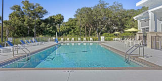 Springs at Hibiscus Crossing Gallery 42