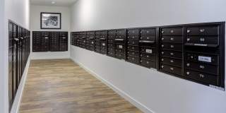 Heights By Vintage Gallery 38