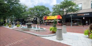 IO Piazza by Windsor Gallery 51