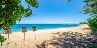 Tropical 4BR Gated Retreat w/ Sauna, Walk to Velzyland Beach Gallery 45