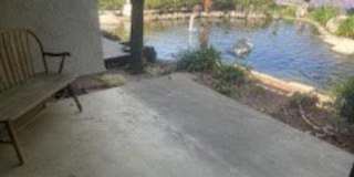 382 Orange Blossom Gallery 8
