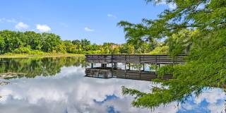 Cortland Mirror Lake Gallery 33