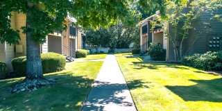 Courtside Gallery 10