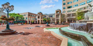 Lerner Springs at Reston Apartment Homes Gallery 25