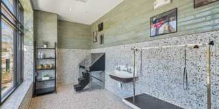 900 Willow Gallery 37