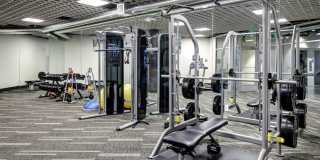 Janus Janus Gallery 23