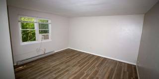 341 Cedar AVE Gallery 3