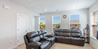 44504 WOLFHOUND Square Gallery 5