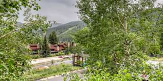 1063 Vail View Drive - 1Unit 1Lions Mane Phase 2 Gallery 1