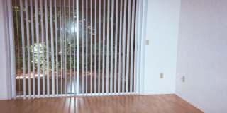 Mill Pond accross from G'ville Health and Fitness Gallery 8