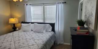 Fully Furnished Luxury Rental Gallery 10