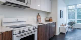 TreeHouse TreeHouse Gallery 1