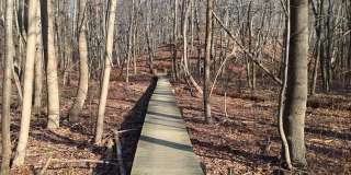 Tree Haven Apartments Gallery 14