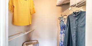 Vantage on Hillsborough Apartments Gallery 10