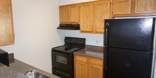 Geno Baroni Gallery 7