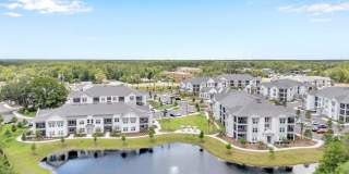 Tapestry Palmera Gallery 73