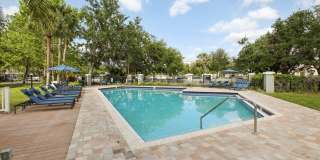 Sole at Citrus Park Gallery 22