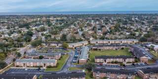 Sea Oats Sea Oats Gallery 20