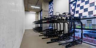 Alexan Main Street Gallery 75