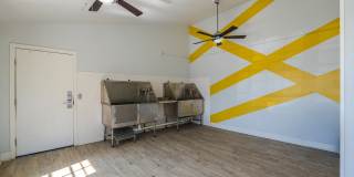 The Joseph at Huebner Gallery 12