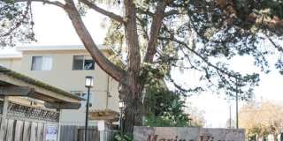 Marine View Apartments Gallery 1