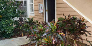 Gorgeous 3 bedroom Will Not Last Gallery 6