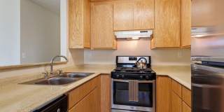 Sycamore Village Gallery 1