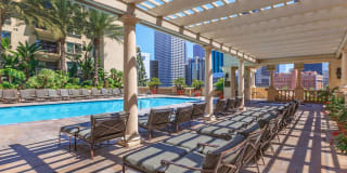 The Piero Gallery 80