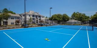 Banyan Bay Gallery 31