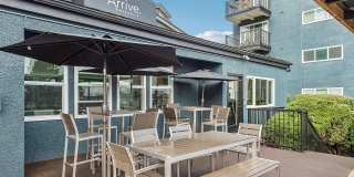 Arrive Magnolia Gallery 61