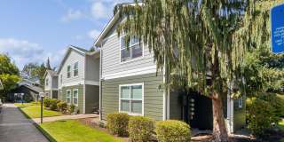 Nolan Ridge Gallery 70