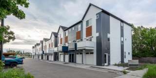 2 weeks Free rent - 1 year lease  Modern 3 bed 3 1/2 bath Gallery 6