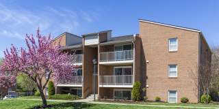 The Crest Apartments Gallery 1