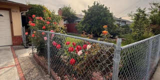 36171 Cabrillo DR Gallery 6