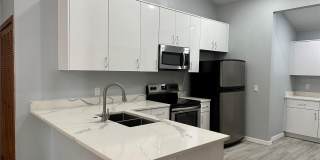 7427 SPRING VILLAS CIRCLE Gallery 5