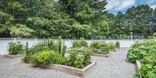 Crestline Cary Gallery 31