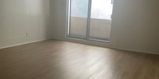 Elm 320 Gallery 1