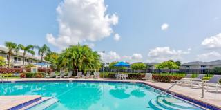 Citation Club Gallery 25