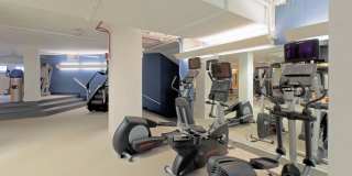 Chestnut Place Gallery 15