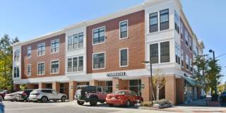 The Bradford Gallery 37