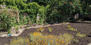 Cozy Carmel Valley Village House Fully Furnished Cozy Carmel Valley Village House Fully Furnished Gallery 38