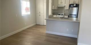 3703 Country Oaks Loop Gallery 7