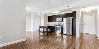 Lantower Westshore Gallery 8