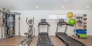 Equinox on Prince Gallery 6