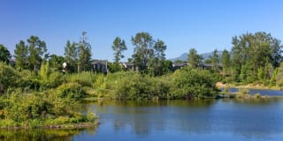 River Terrace Gallery 29