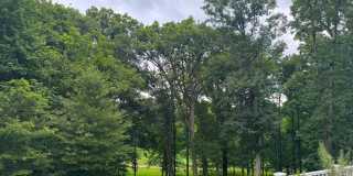 9629 EAGLE RIDGE Drive Gallery 66