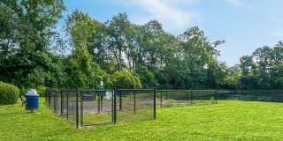 Rocky Creek Gallery 19