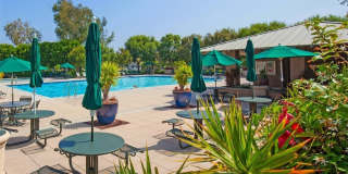 19 Tennessee Gallery 43