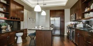 The Catherine Gallery 17